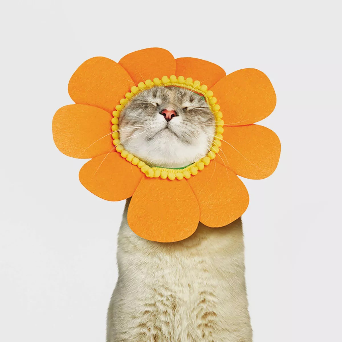 Halloween Orange Sunflower Cat Costume - Hyde & EEK! Boutique™