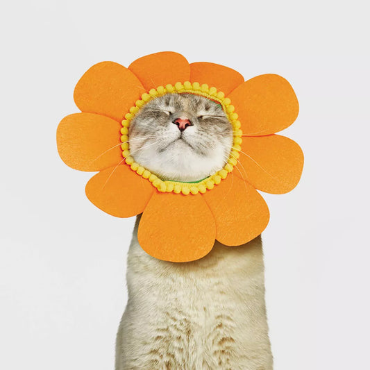 Halloween Orange Sunflower Cat Costume - Hyde & EEK! Boutique™