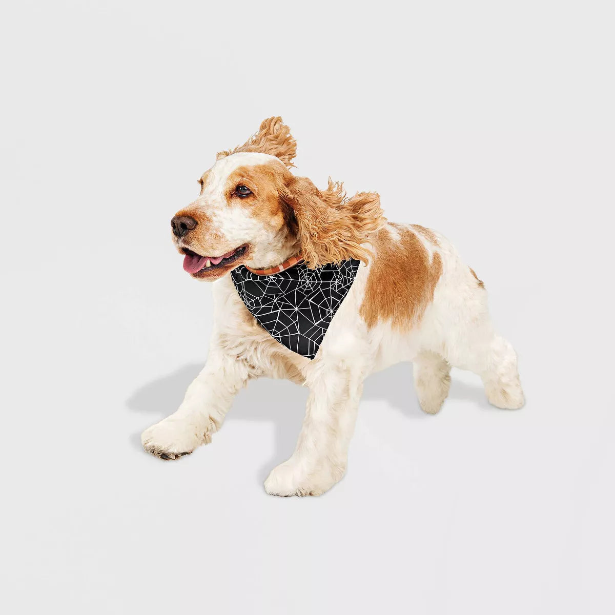 Halloween and Fall Reversible Dog Bandana - Hyde & EEK! Boutique™